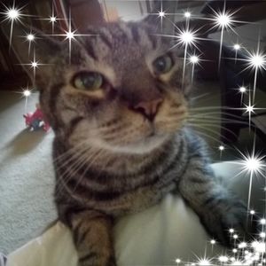 Meet your Posher, Joanne